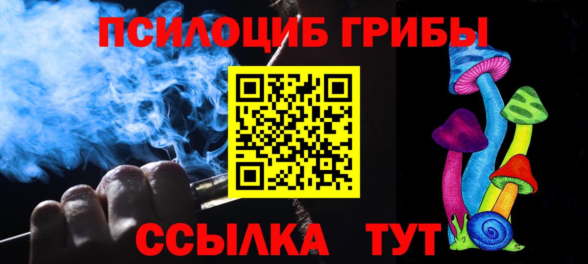 Псилоцибиновые грибы прущие грибы  Вход с VPN  Северобайкальск 